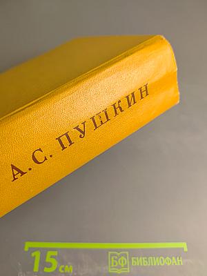 Полное собрание сочинений. Том десятый: Письма