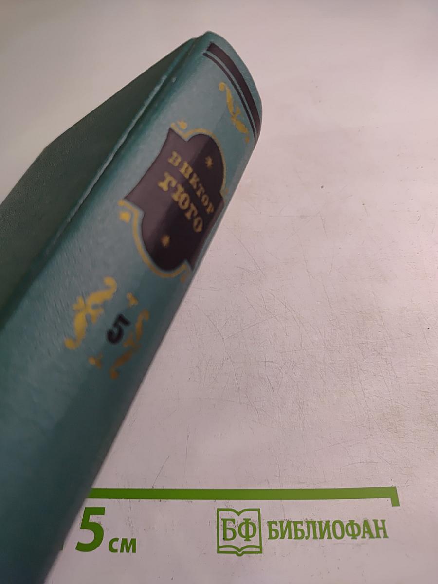 Виктор Гюго. Собрание сочинений. Том пятый: Наполеон Малый. История одного преступления