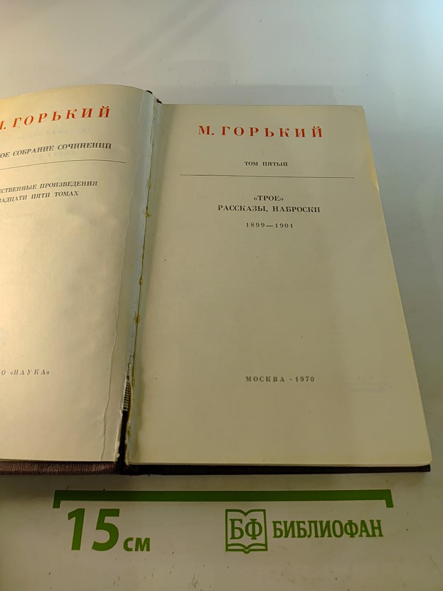 Художественные произведения в двадцати пяти томах. Том пятый: Трое, Рассказы, Наброски