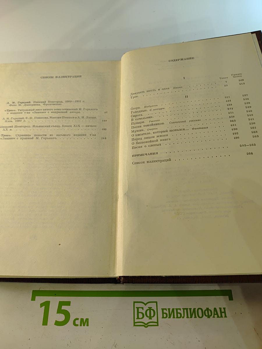 Художественные произведения в двадцати пяти томах. Том пятый: Трое, Рассказы, Наброски