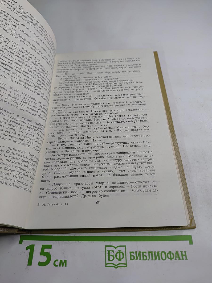 Собрание сочинений. Том 14. Жизнь Клима Самгина