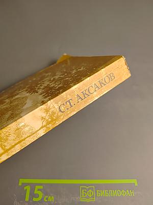 Семейная хроника. Детские годы Багрова-внука