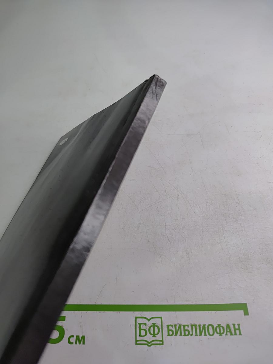 Своевременные мысли, или Пророки в своем Отечестве