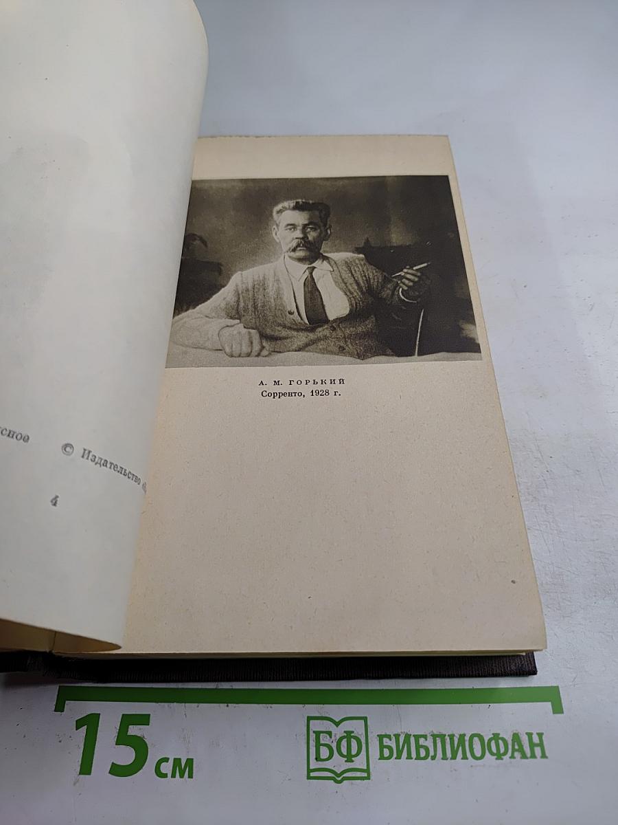 Жизнь Клима Самгина. Том двадцать второй