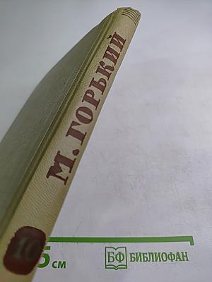 Собрание сочинений. Том 10. Произведения 1925-1928