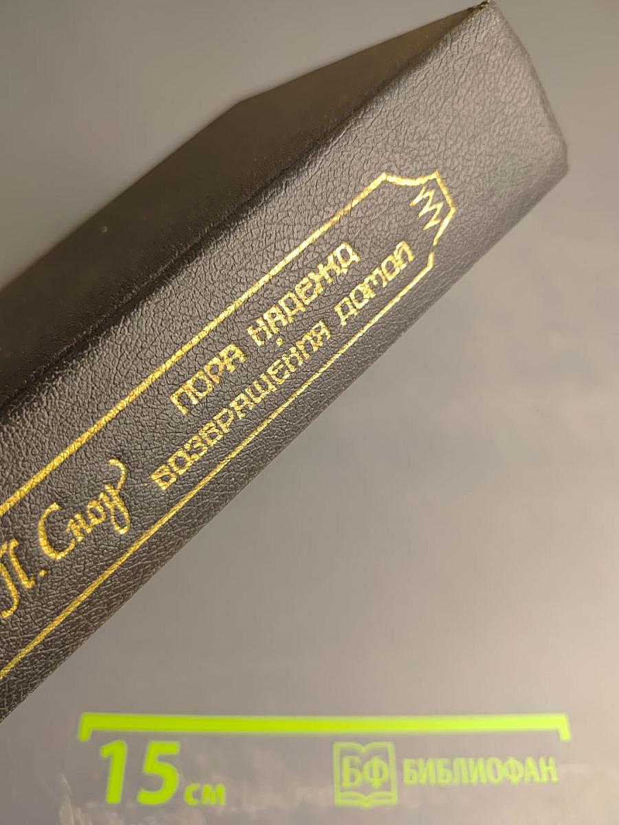 Пора надежд. Возвращения домой