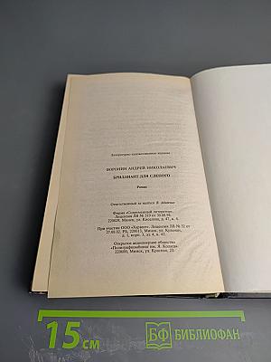 Бриллиант для Слепого