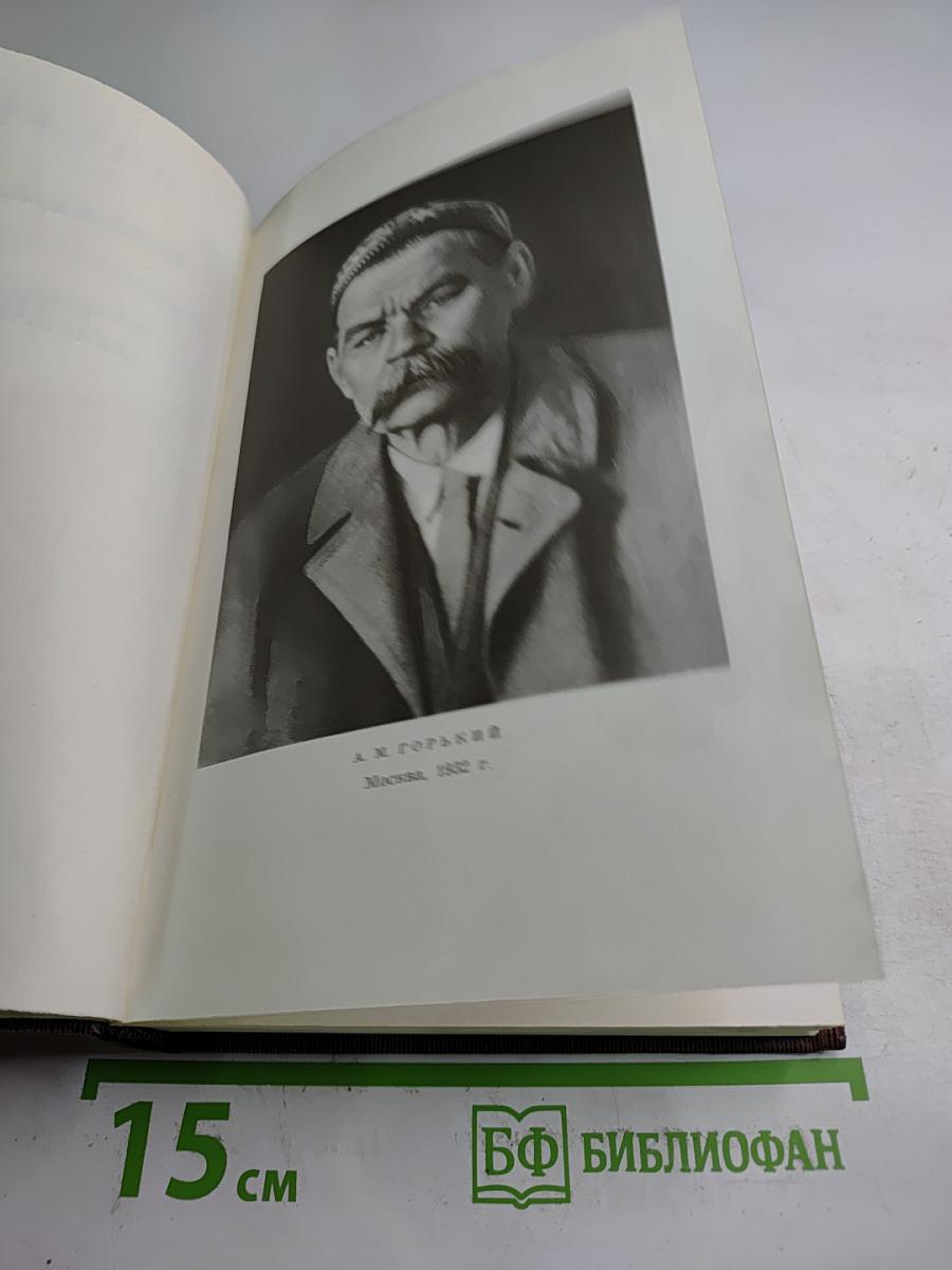 Полное собрание сочинений. Том девятнадцатый. Пьесы, сценарии, драматические наброски 1917-1935