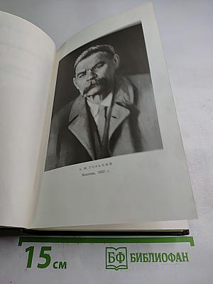 Полное собрание сочинений. Том девятнадцатый. Пьесы, сценарии, драматические наброски 1917-1935
