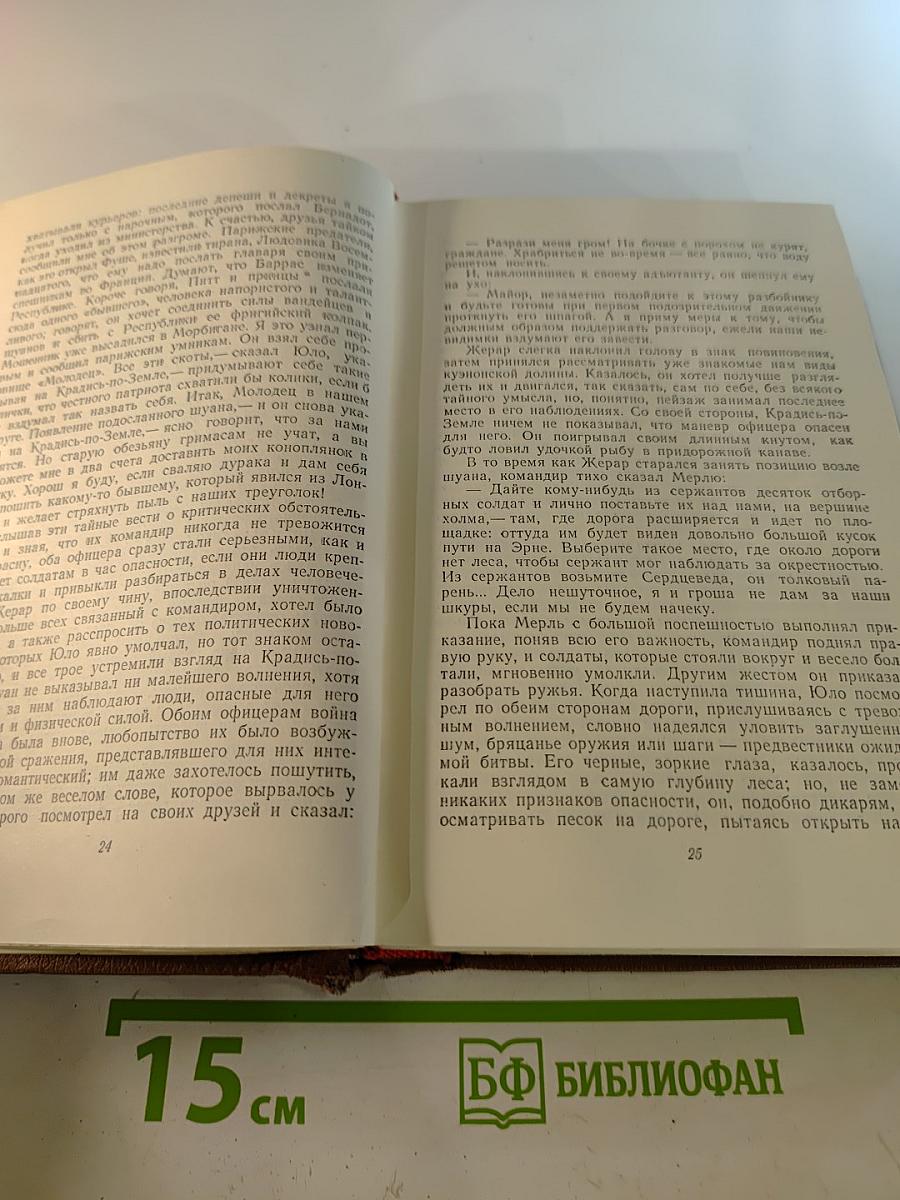 Человеческая комедия. Том 11