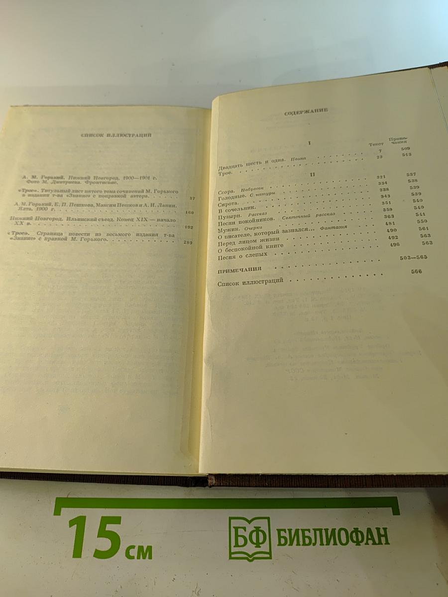 Том пятый: "Трое". Рассказы, наброски 1899-1901