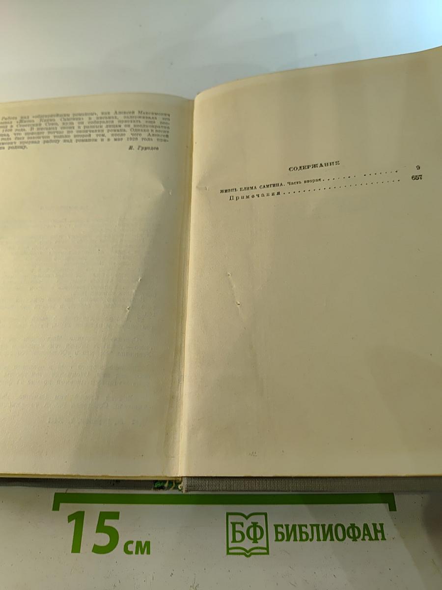 Жизнь Клима Самгина. Часть II