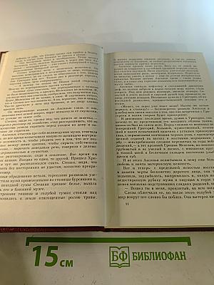Тихий Дон. Книга четвертая (Собрание сочинений в 8-ми томах. Том 4)
