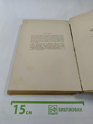 Русский язык. Для техникумов