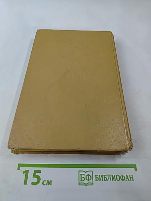 Русский язык. Для техникумов