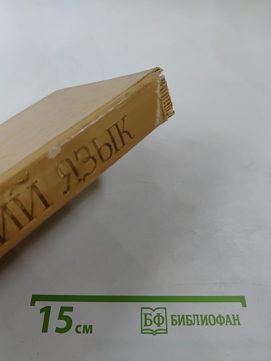 Русский язык. Для техникумов