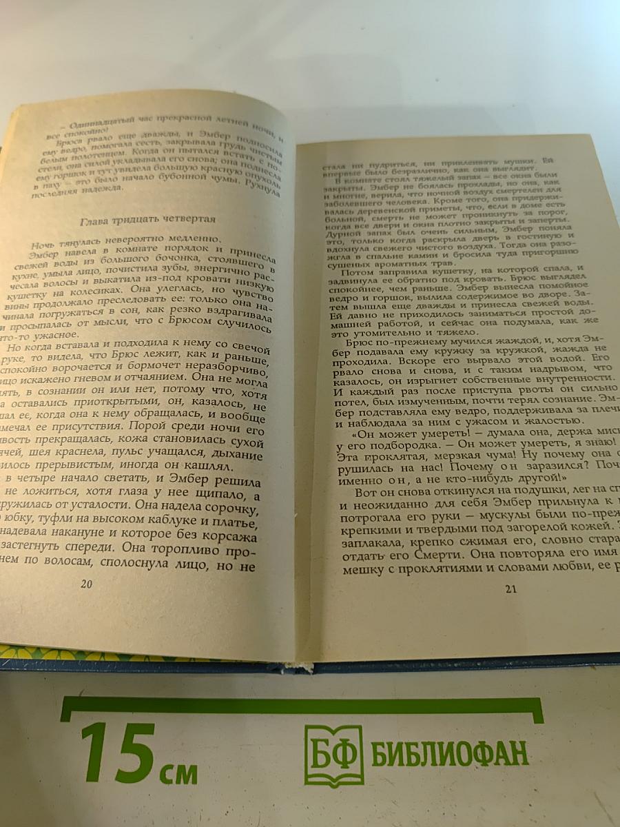 Твоя навеки, Эмбер