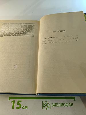 Твоя навеки, Эмбер