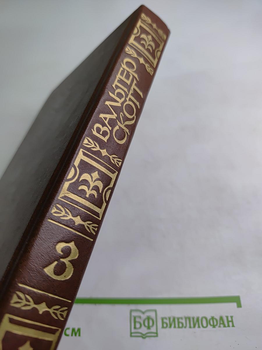 Антикварий (Собрание сочинений, Том третий)