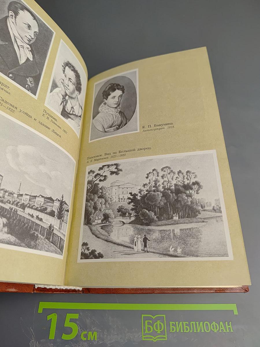 Жизнь Пушкина. Рассказанная им самим и его современниками. Том первый.