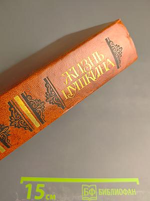 Жизнь Пушкина. Рассказанная им самим и его современниками. Том первый.