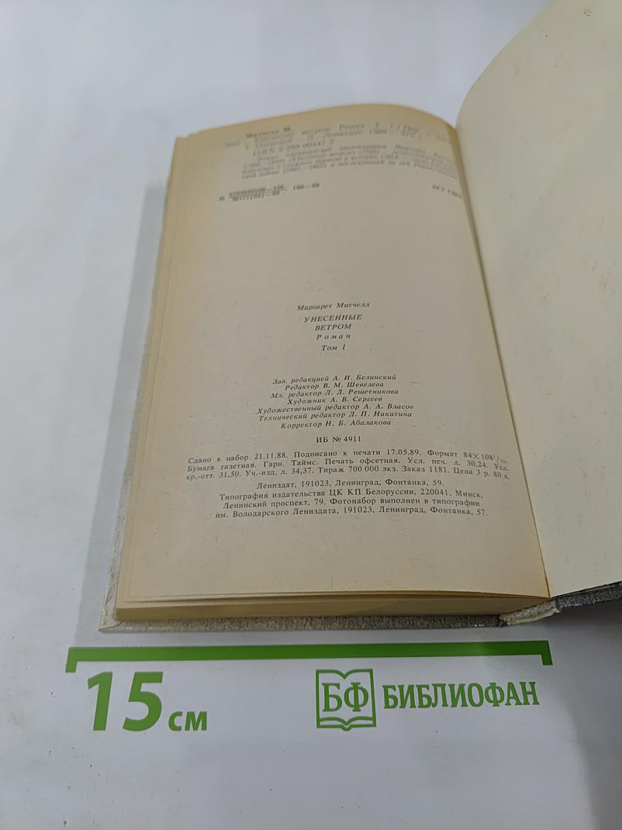 Унесенные ветром. Том 1