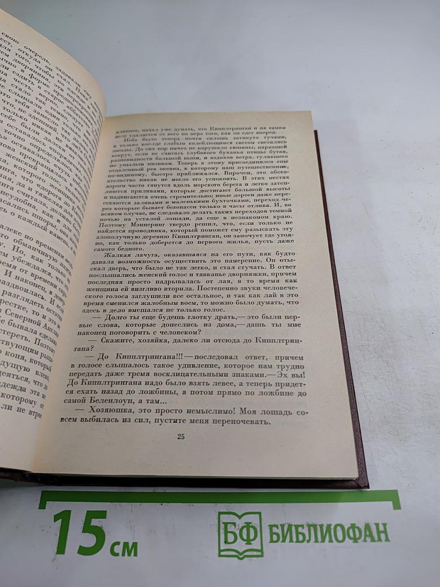 Гай Мэннеринг