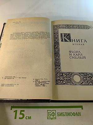 Флорентийка. Книга вторая