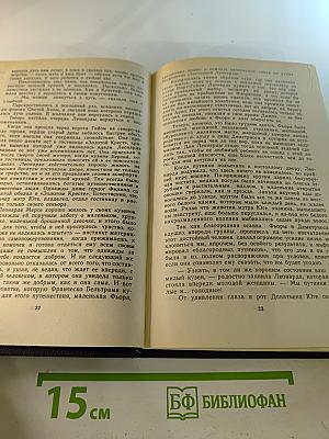 Флорентийка. Книга вторая