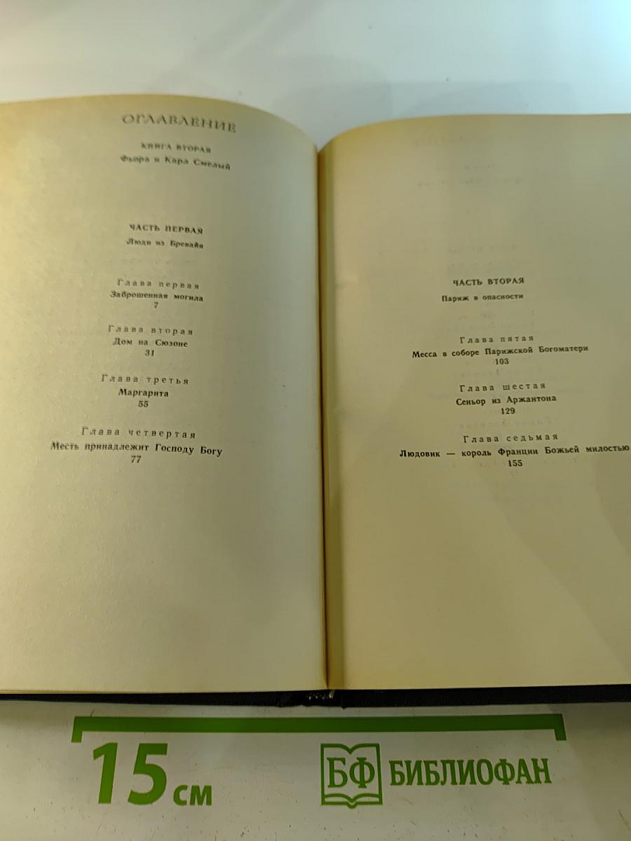 Флорентийка. Книга вторая