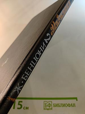 Марианна и неизвестный из Тосканы. Роман в шести книгах. Книга вторая