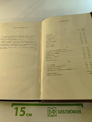 Художественные произведения. Том четвертый: Фома Гордеев, рассказы, очерки, наброски, стихи 1897-1899