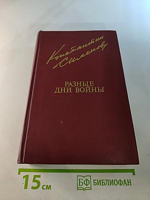 Разные дни войны. Дневник писателя. Том I. 1941 год