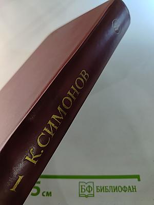 Разные дни войны. Дневник писателя. Том I. 1941 год