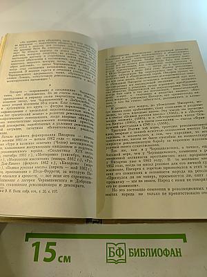 Публицисты 1860-х годов
