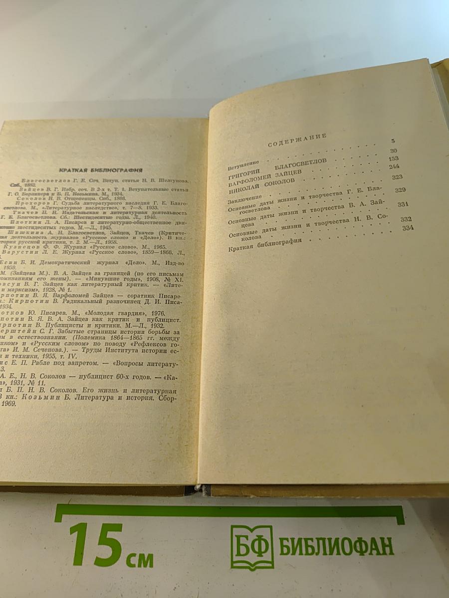 Публицисты 1860-х годов