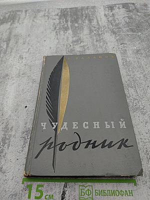 Чудесный родник