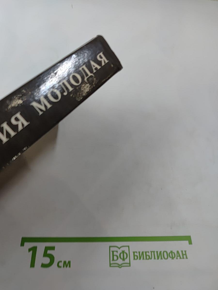 Россия Молодая. Книга вторая