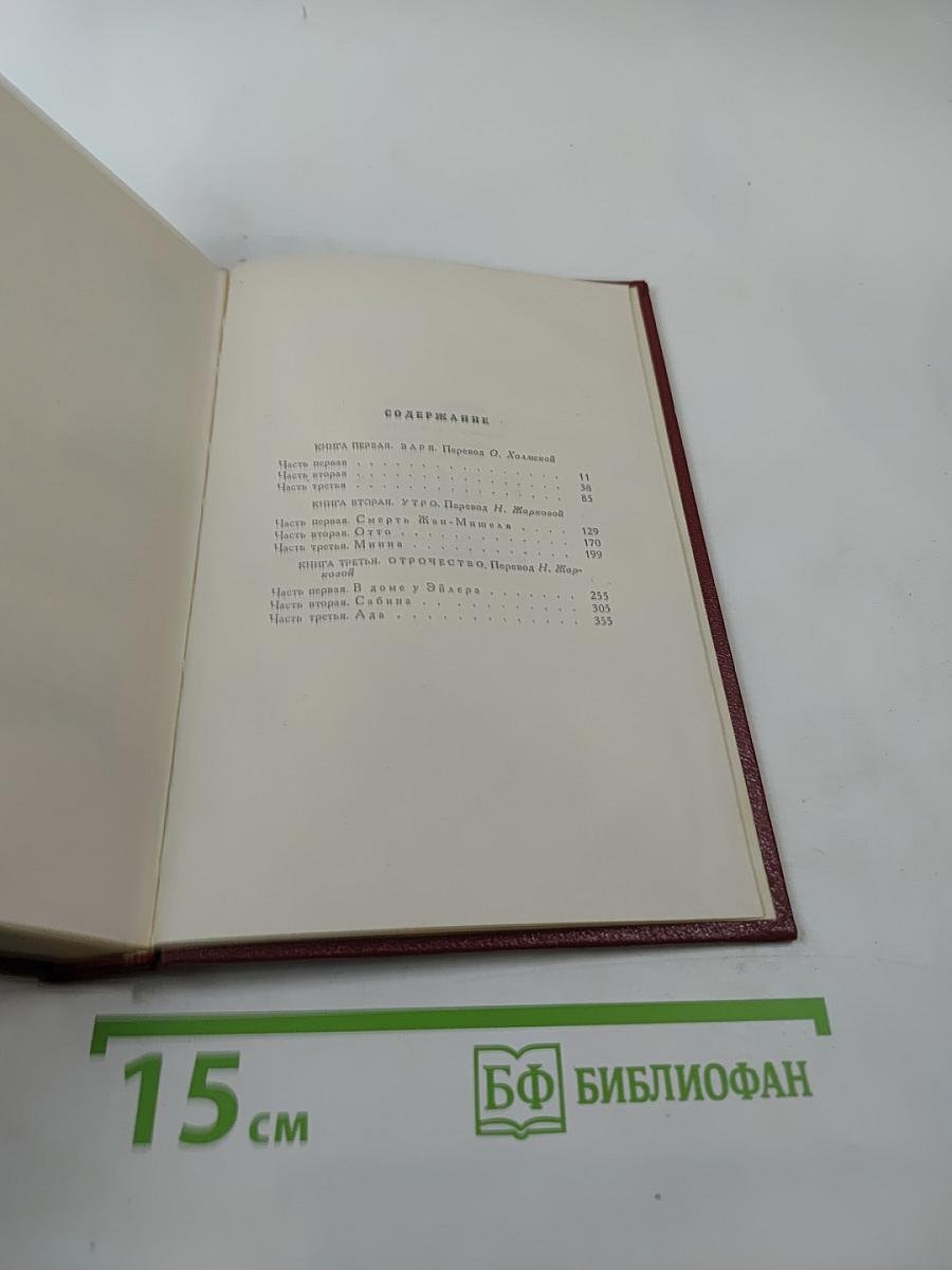Собрание сочинений. Том третий: Жан-Кристоф (Книга вторая и третья)