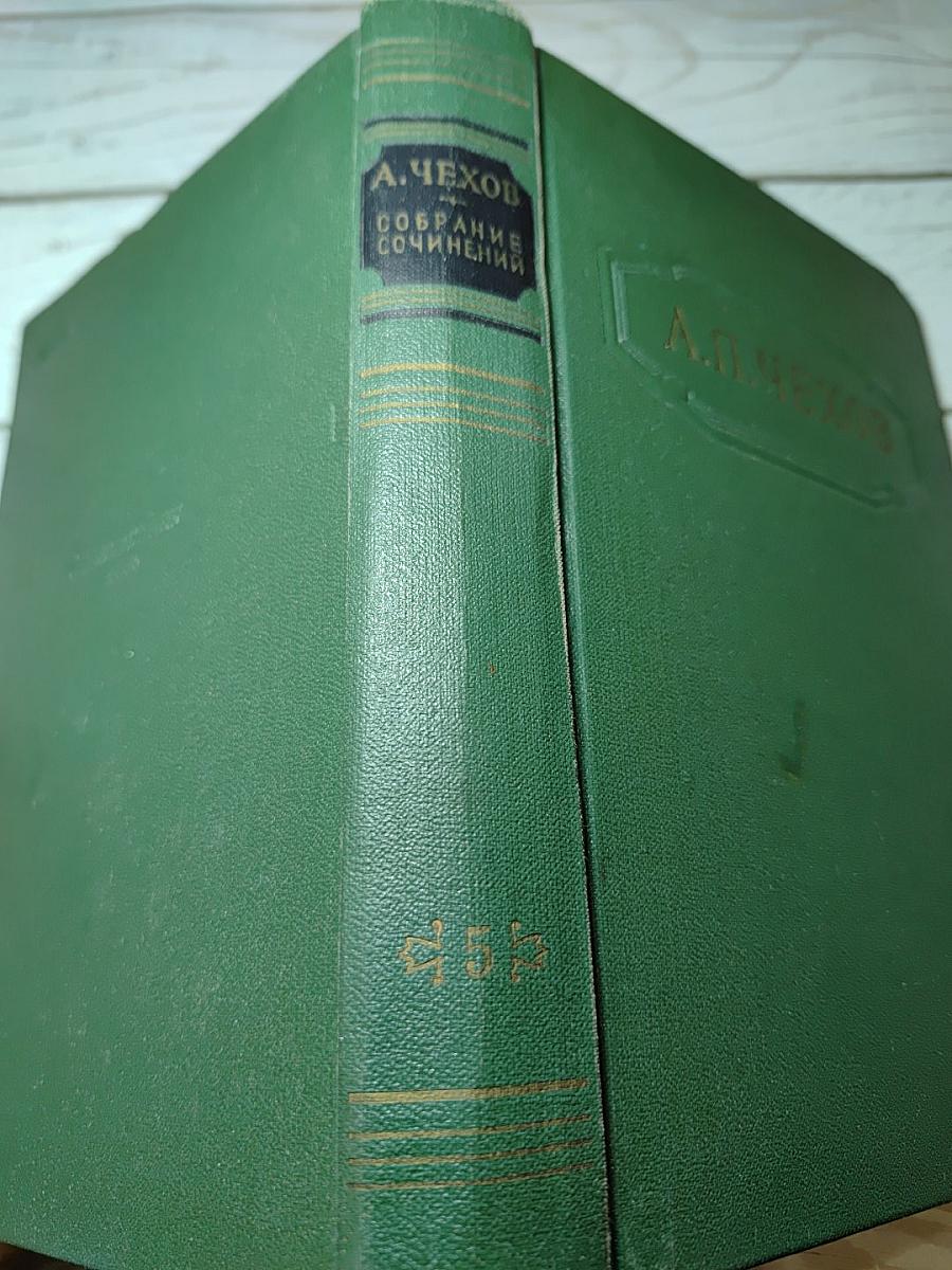 Собрание сочинений. Том пятый: Рассказы 1887
