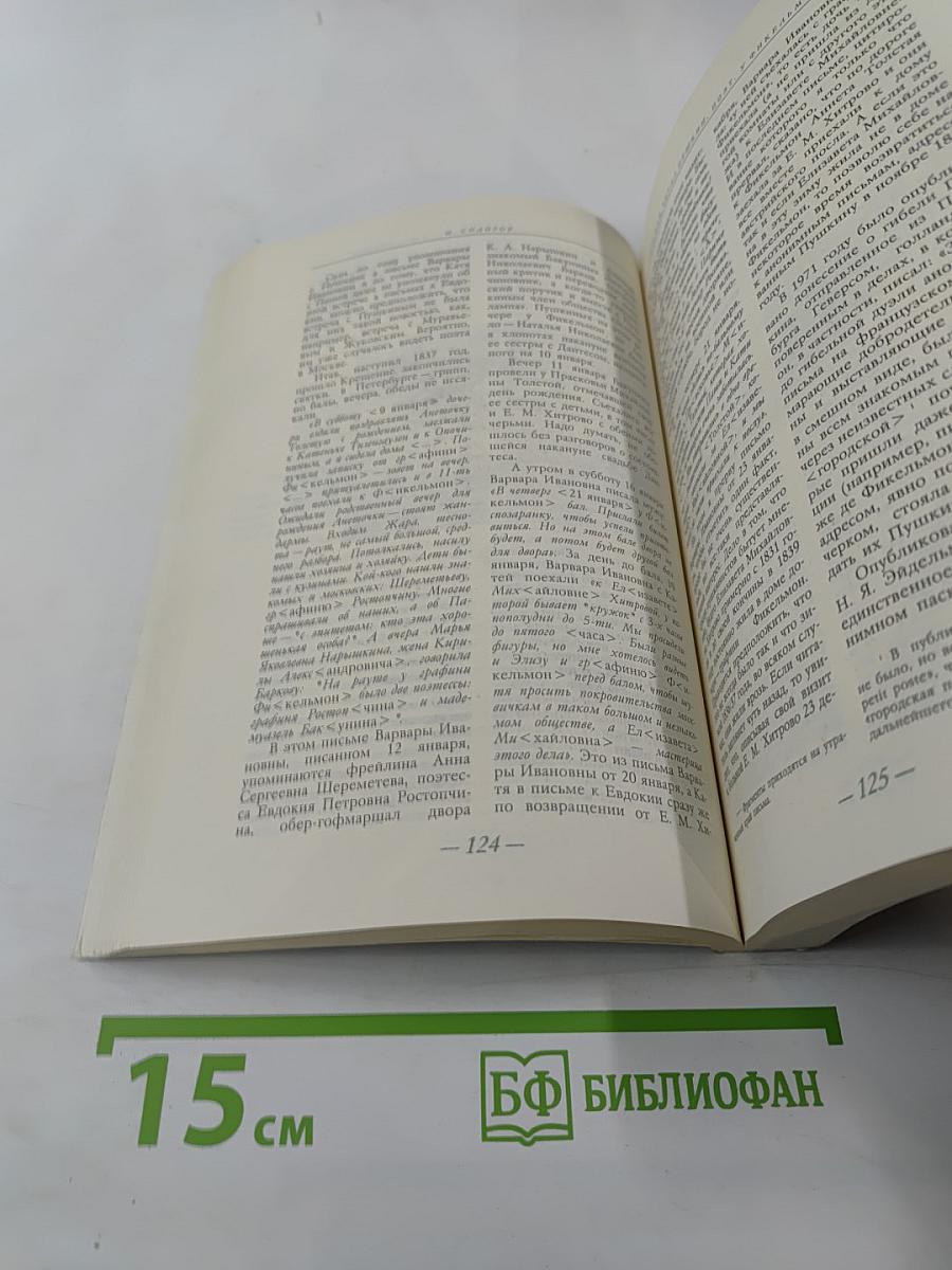 Солнце нашей поэзии