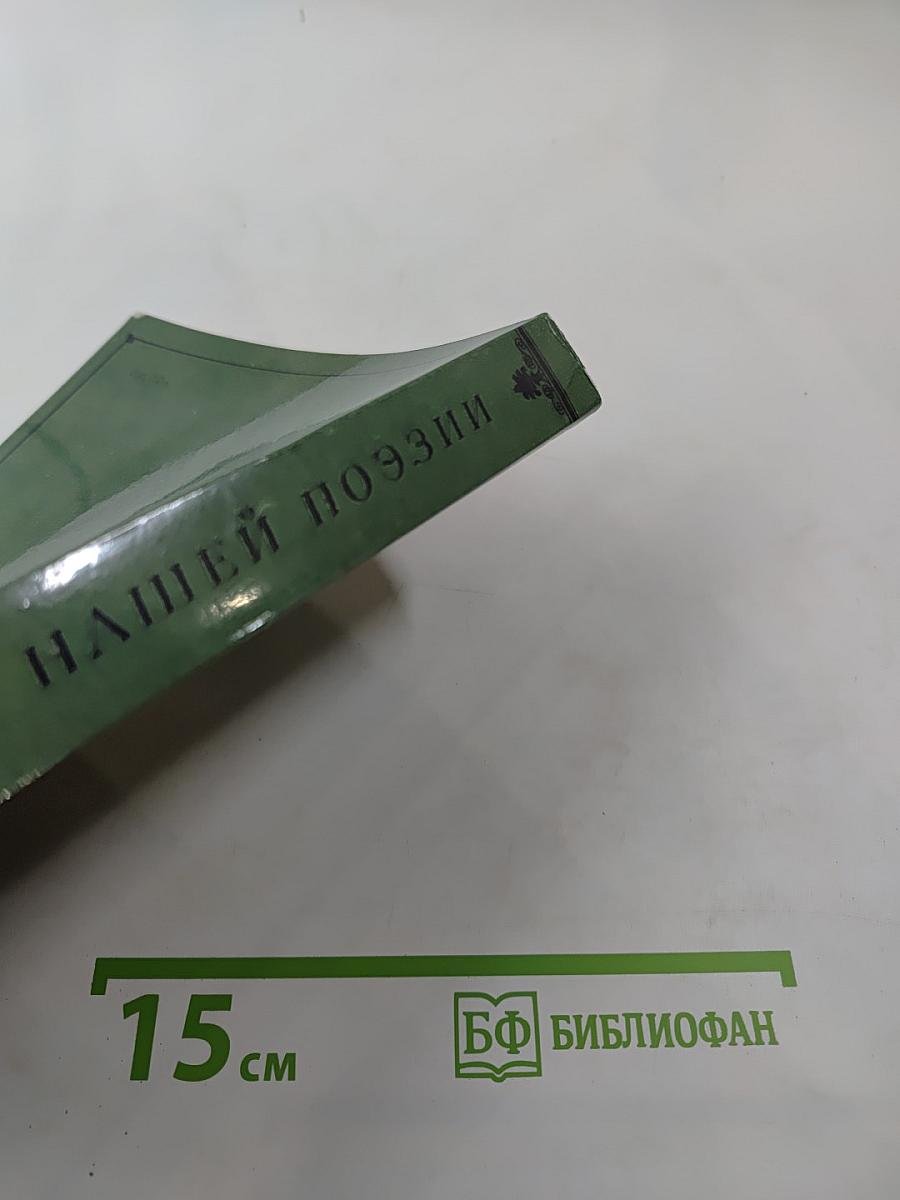 Солнце нашей поэзии