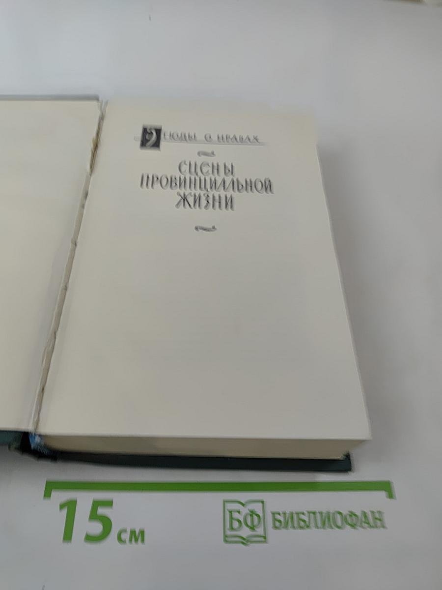 Собрание сочинений. Том VII: Сцены провинциальной жизни. Пьеретта, Жизнь холостяка