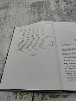 Забытые достопримечательности Южного берега Финского залива. Путеводитель. От Санкт-Петербурга до Кургальского полуострова