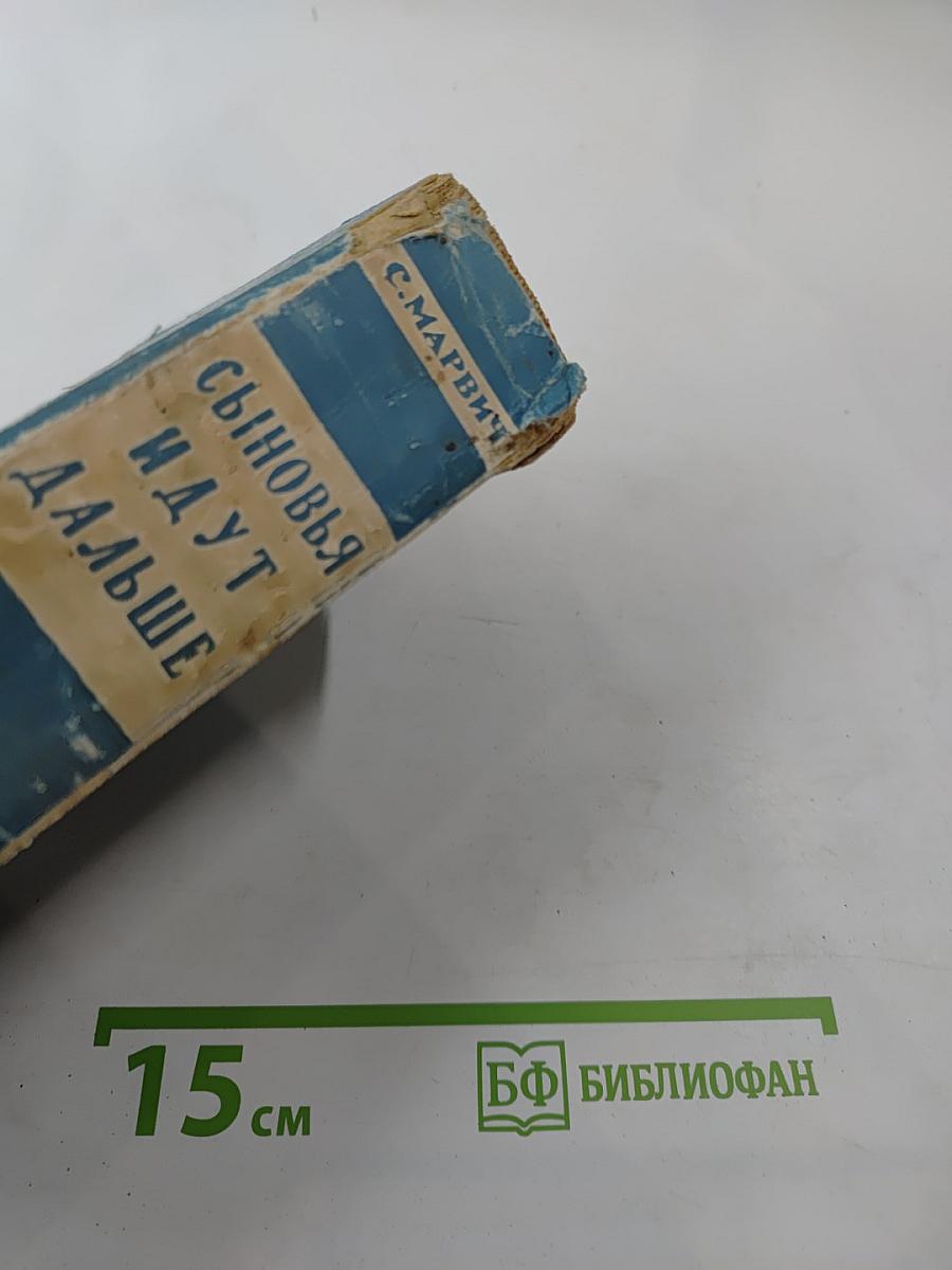 Сыновья идут дальше