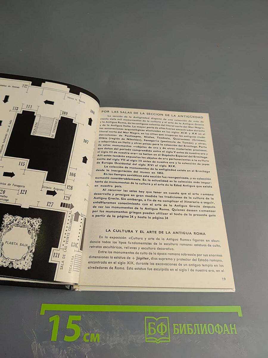 Museo del ermitage guía