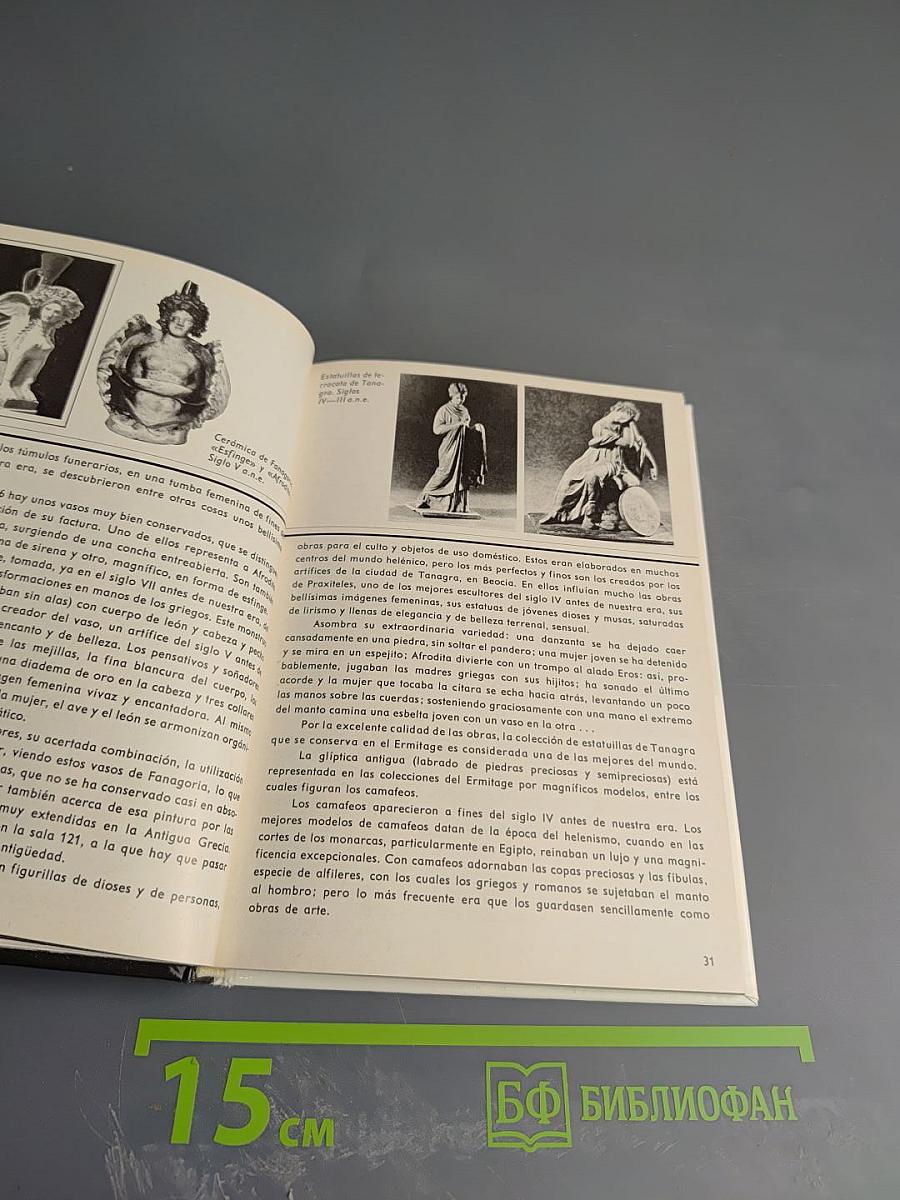 Museo del ermitage guía