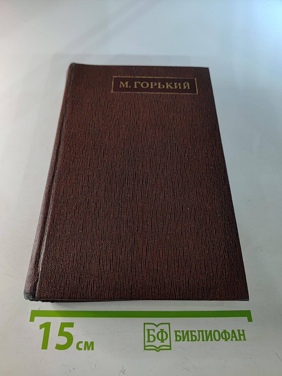 Жизнь Клима Самгина, Том двадцать четвертый