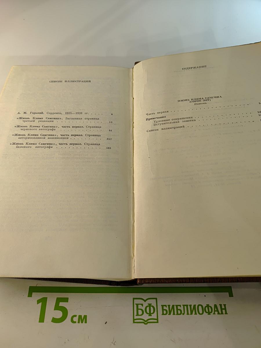 Жизнь Клима Самгина. Том двадцать первый