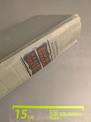 Девятое ноября. Пляска смерти